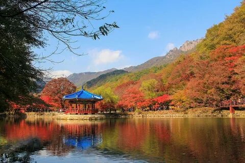 Güney Jeolla Eyaleti