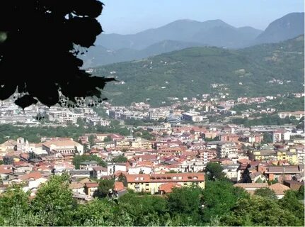 Avellino