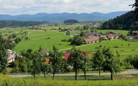 Log–Dragomer Belediyesi