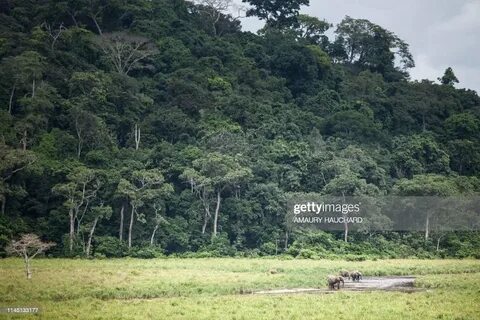 Ogooué-Ivindo Eyaleti