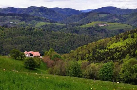 Vosges