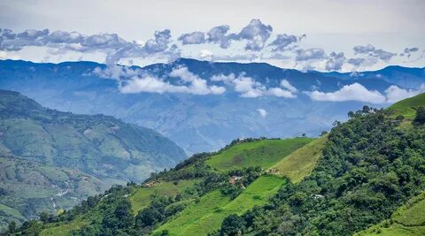 Cauca