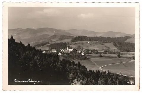 Ribnica na Pohorju Belediyesi
