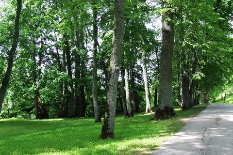 Krimulda Belediyesi