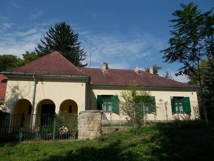 Pest İlçesi