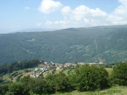 Novo Selo Belediyesi