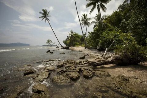 Choiseul Eyaleti