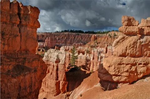 Utah