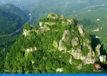Ordu