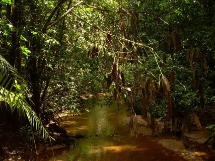 Sabaragamuwa Eyaleti