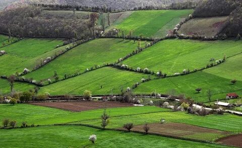 Mazenderan