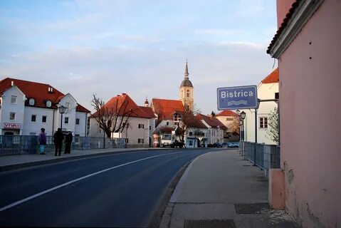 Slovenska Bistrica Belediyesi