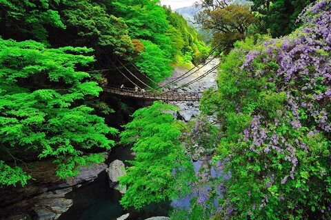 Tokushima Eyaleti