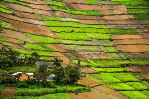 Kisoro Bölgesi