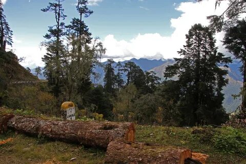 Wangdue Phodrang Bölgesi
