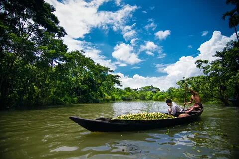 Pirojpur Bölgesi