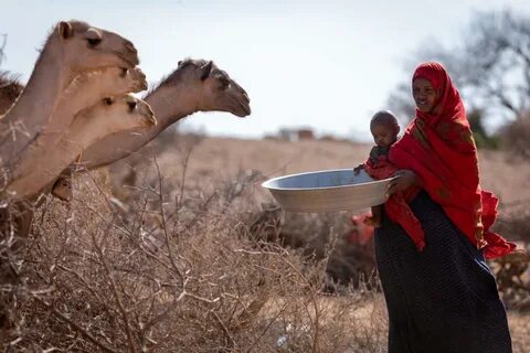 Somali Bölgesi