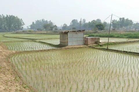 Dinajpur Bölgesi