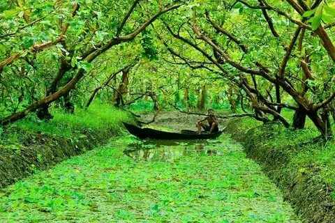 Pirojpur Bölgesi