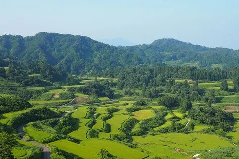 Niigata İli