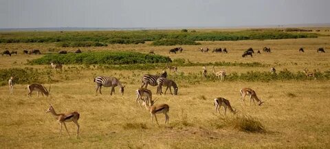 narok