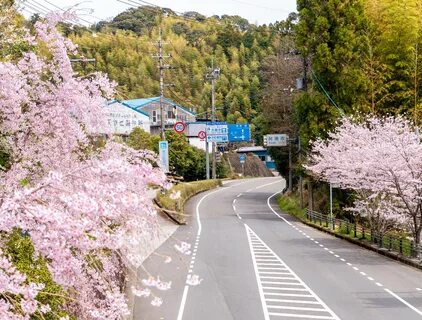 Tokushima Eyaleti