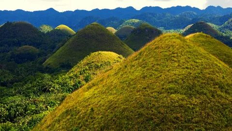 Bohol