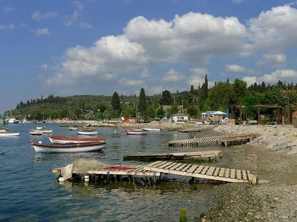 Kocaeli