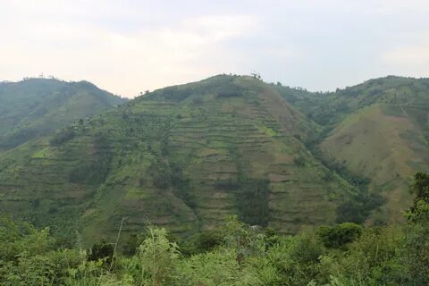 Kanungu Mahallesi