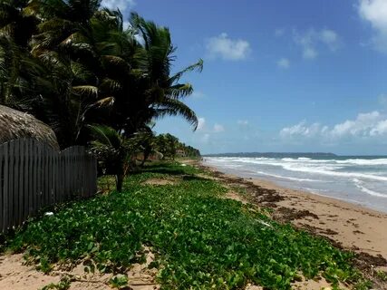 Rio Claro-Mayaro Bölge Şirketi