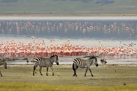Manyara