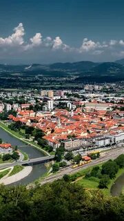 Celje Şehir Belediyesi