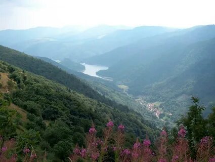 Vosges