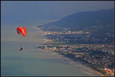Ordu