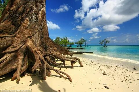 Andaman ve Nikobar Adaları