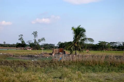 Patuakhali Bölgesi