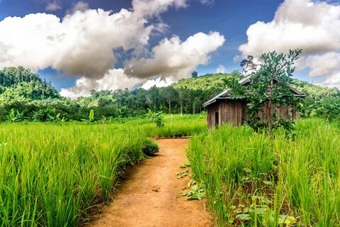 Mondulkiri