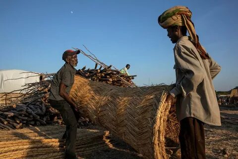 Tigray Bölgesi