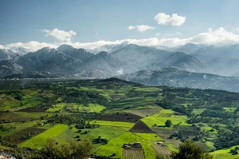 Tizi Ouzou