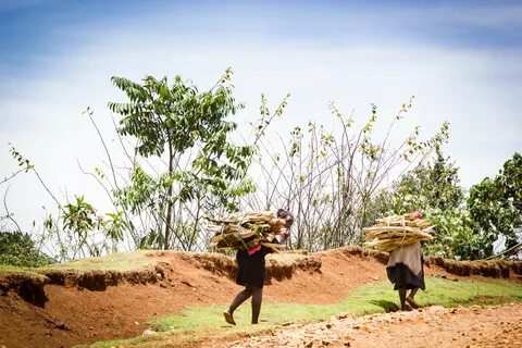 Bomet