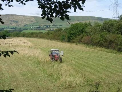 Batı Dunbartonshire