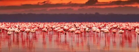Nakuru