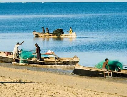 Toliara Eyaleti