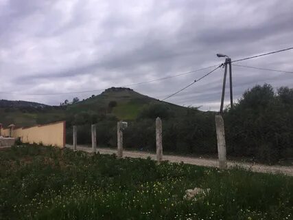 Taounat