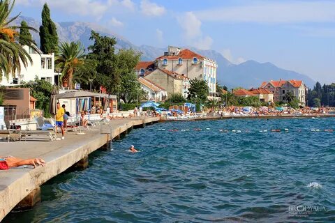 Tivat Belediyesi
