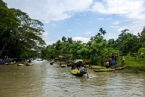 Pirojpur Bölgesi