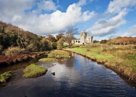 Wexford