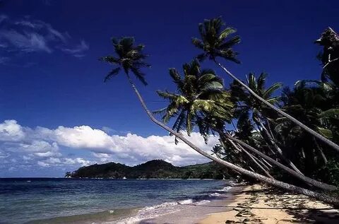 Kadavu