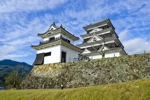 Ehime ili