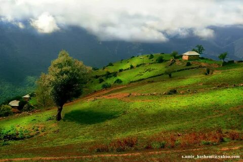 Mazenderan